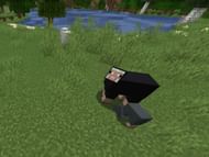 Young black/gray/light gray sheep are rarer than older ones in the game (Image via Minecraft Fandom Wiki)